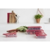 PLAST TEAM - Pojemnik do żywności POLAR - prostokątny - czerwony - do zamrażarki i lodówki - 0,9 L