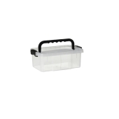 PLAST TEAM - Pojemnik z pokrywą i uchwytem - 2,5 L