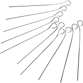 TARMEX - Szpilki do szaszłyków - metalowe - długie 16 cm - 10 szt.
