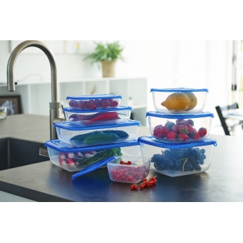 PLAST TEAM - Pojemnik do żywności POLAR - prostokątny - niebieski - do zamrażarki i lodówki - 0,46 L